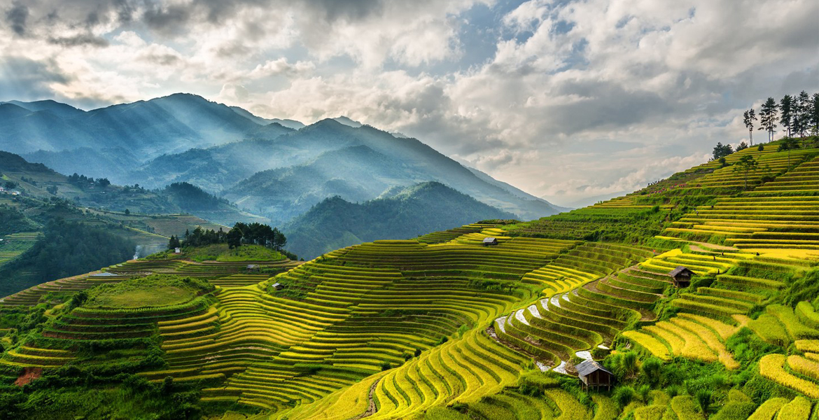 Sapa Motorbike